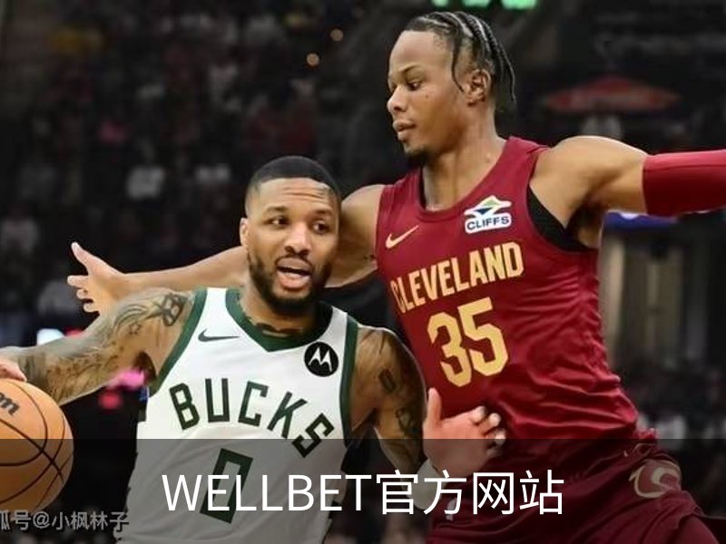 关于WELLBET官方网站
